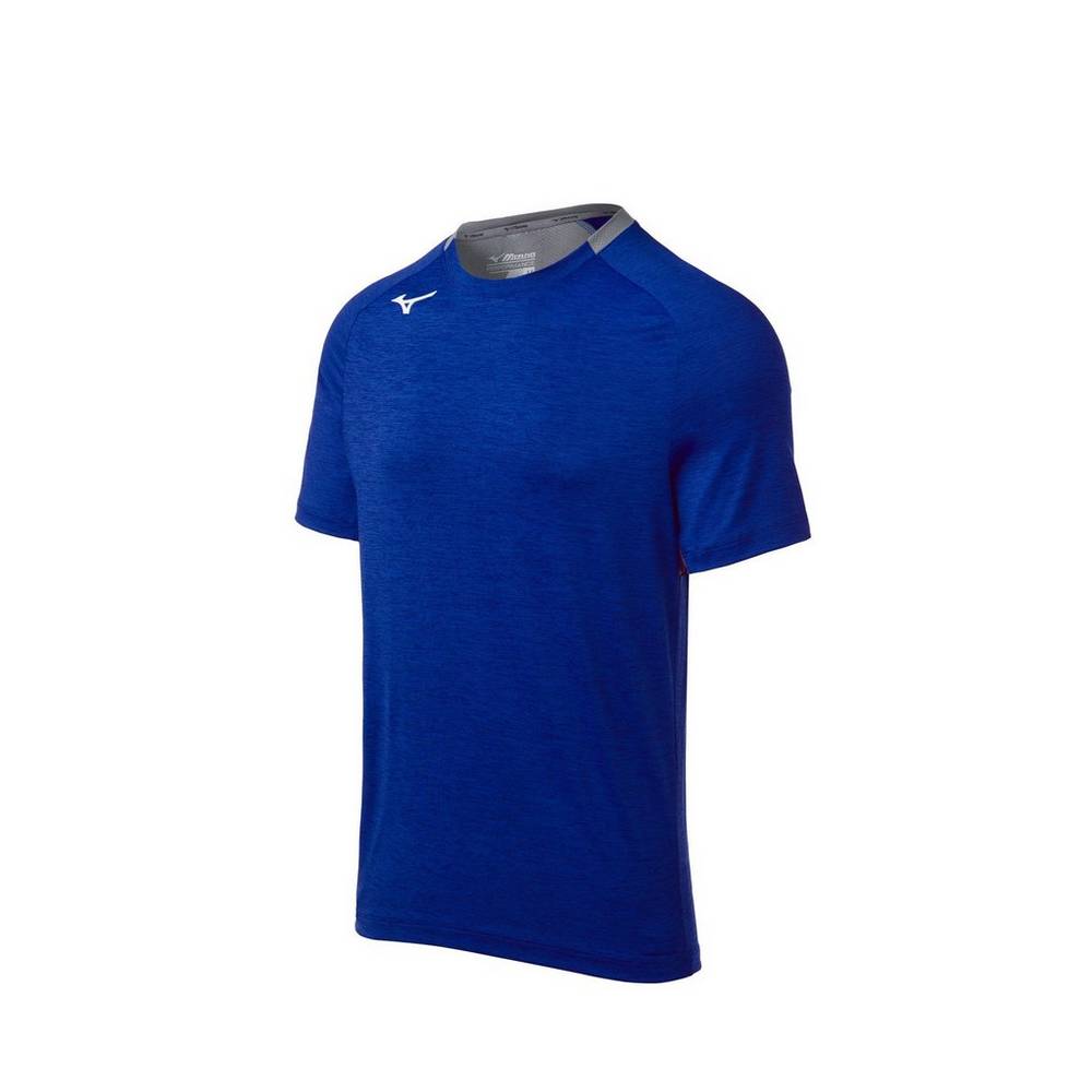 Mizuno Men's Alpha Short Sleeve T-Shirts Royal (530050-RFL)